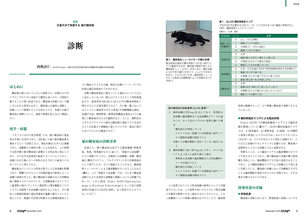 CAP 2025年11月号 株式会社 緑書房
