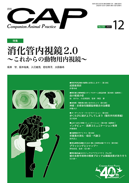 ＣＡＰ　2025年12月号