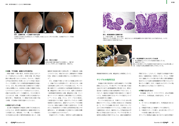 裁断済　CAP 獣医学雑誌　2019.5-2020.4　12冊 活動報告】獣医学雑誌「mVm」臨時増刊号（犬と猫の耳）掲載のご報告