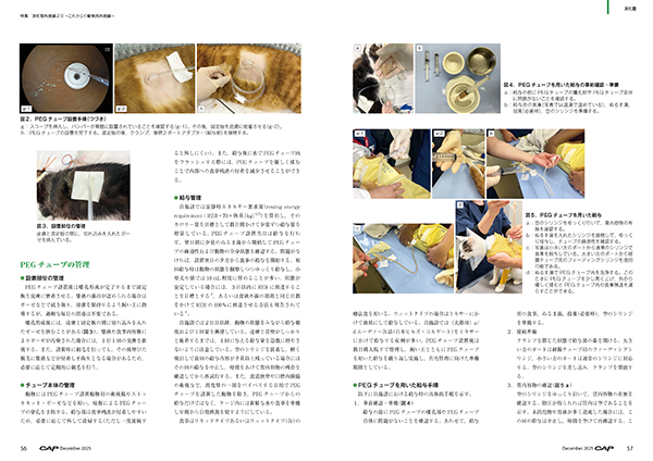 CAP 2025年12月号 株式会社 緑書房