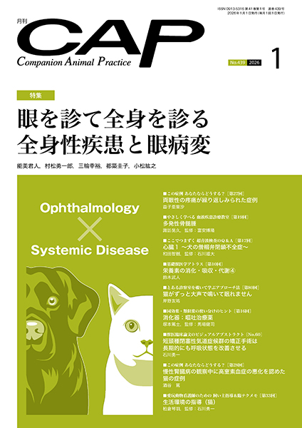 ＣＡＰ　2026年1月号