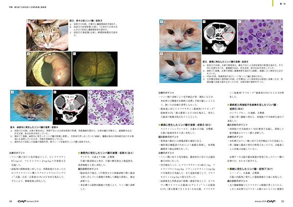 CAP 2026年1月号 株式会社 緑書房