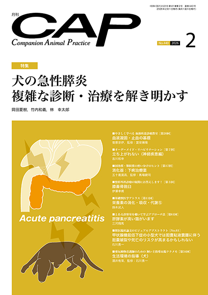 ＣＡＰ　2026年2月号