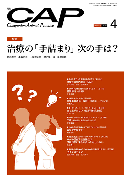 【裁断済】【獣医雑誌】CAP 2019年 1-12月分セット CAP 株式会社 緑書房