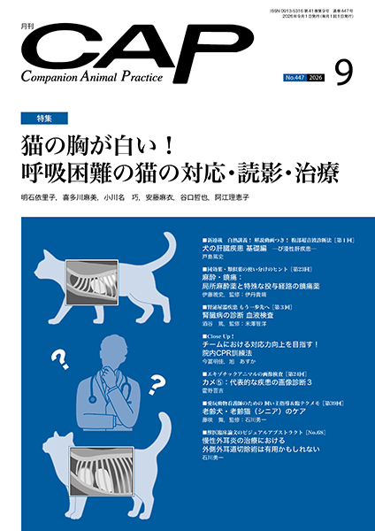 ＣＡＰ　2026年9月号