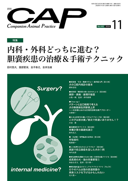 ＣＡＰ　2026年11月号