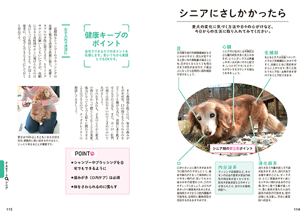 0歳からシニアまで ダックスフンドとのしあわせな暮らし方 株式会社