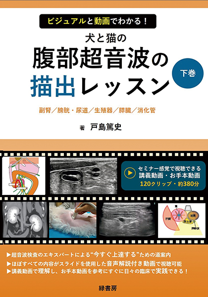 ビジュアルと動画でわかる！ 犬と猫の腹部超音波の描出レッスン 下巻