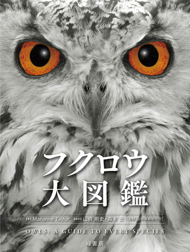 フクロウ大図鑑