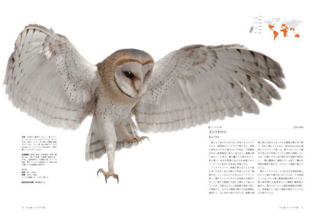 フクロウ大図鑑 株式会社 緑書房 