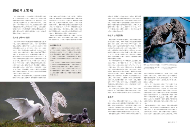 フクロウ大図鑑 株式会社 緑書房 