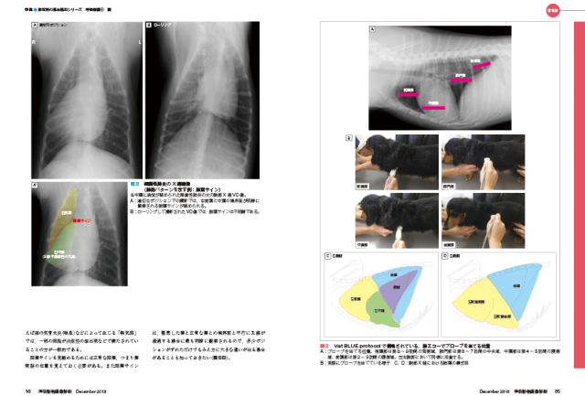 伴侶動物画像診断 No.14（2018年12月号） 株式会社 緑書房