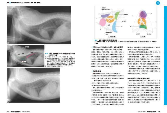 伴侶動物画像診断 (No.15) [大型本] 伴侶動物画像診断 (No.12) |本 | 通販 | Amazon