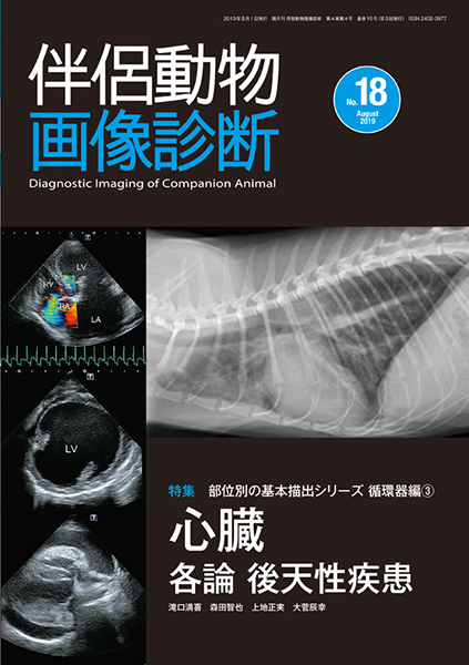 伴侶動物画像診断 No.18（2019年8月号）