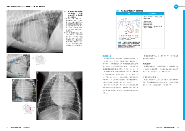 伴侶動物 画像診断 創刊記年特大号1〜30号 30冊セット ほぼ新品 伴侶動物 画像診断 創刊記年特大号1〜30号 30冊セット ほぼ新品
