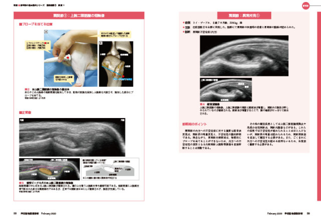 伴侶動物画像診断 No.21 前肢 1 伴侶動物画像診断 No.21（2020年2月号） 株式会社 緑書房