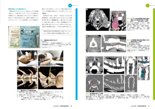 伴侶動物画像診断 No.23（2020年6月号） 株式会社 緑書房