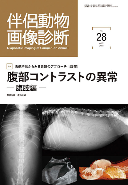 伴侶動物画像診断 No.28（2021年4月号）