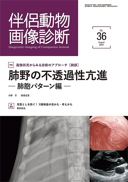 伴侶動物画像診断 No.36（2022年8月号）