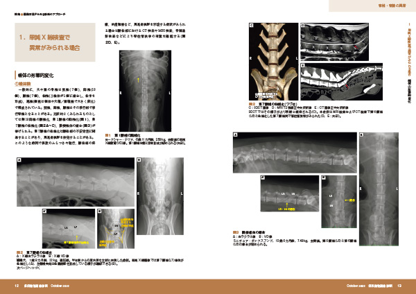 hawaii5o　伴侶動物画像診断41．43号 伴侶動物画像診断 No.44 特集:画像所見からみる診断のアプローチ