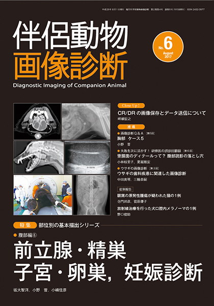 伴侶動物画像診断 No.6（2017年8月号）
