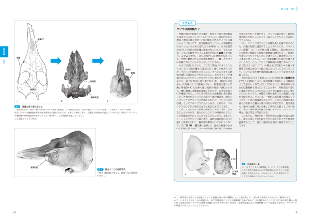 鯨類の骨学 株式会社 緑書房