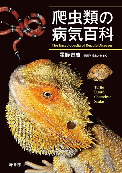 爬虫類の病気百科