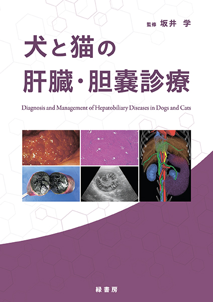 犬と猫の肝臓・胆嚢診療