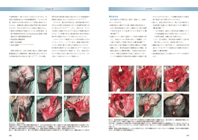 犬と猫の耳鼻咽喉疾患 株式会社 緑書房