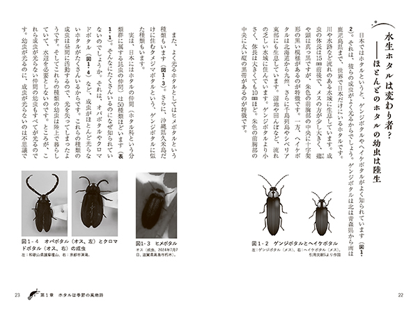 じつは身近なホタルのはなし 株式会社 緑書房