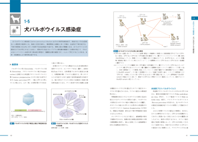 臨床獣医師のための犬と猫の感染症診療 株式会社 緑書房