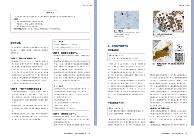 【裁断済み】新 伴侶動物治療指針 3 新 伴侶動物治療指針 3 | 石田 卓夫 |本 | 通販 | Amazon