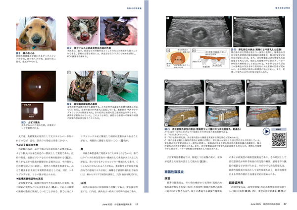 伴侶動物臨床検査 No.5（2025年6月号） 株式会社 緑書房