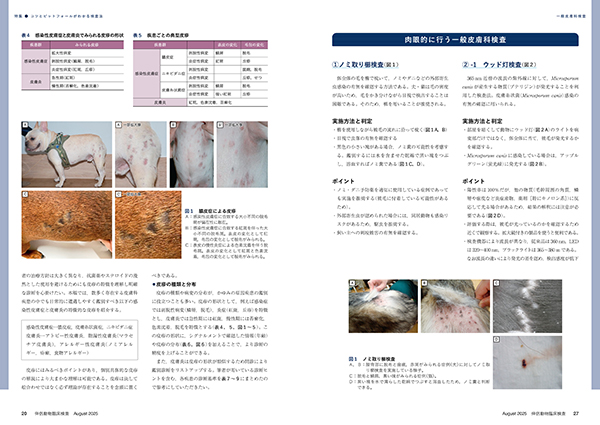 伴侶動物臨床検査 No.6（2025年8月号） 株式会社 緑書房