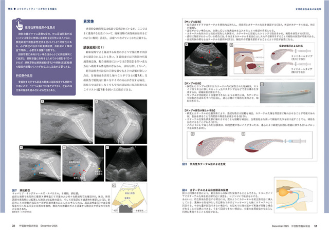 伴侶動物臨床検査 No.8（2025年12月号） 株式会社 緑書房