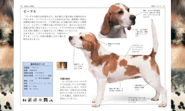 新犬種大図鑑 増補改訂 最新 世界の犬種大図鑑」、誠文