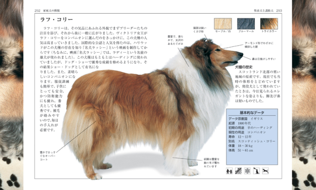 新犬種大図鑑 最も飛ぶ