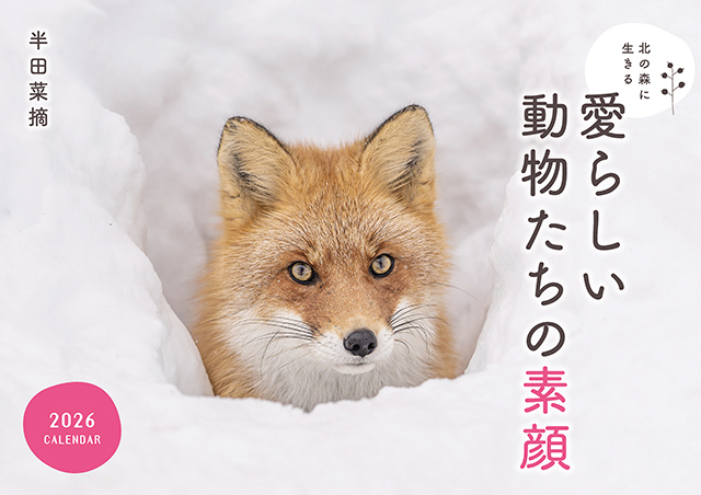 北の森に生きる愛らしい動物たちの素顔カレンダー2026（壁掛け）