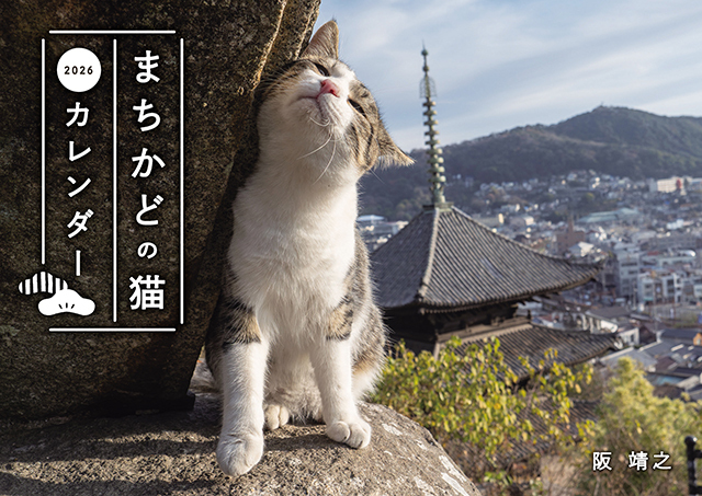 まちかどの猫カレンダー2026（壁掛け）
