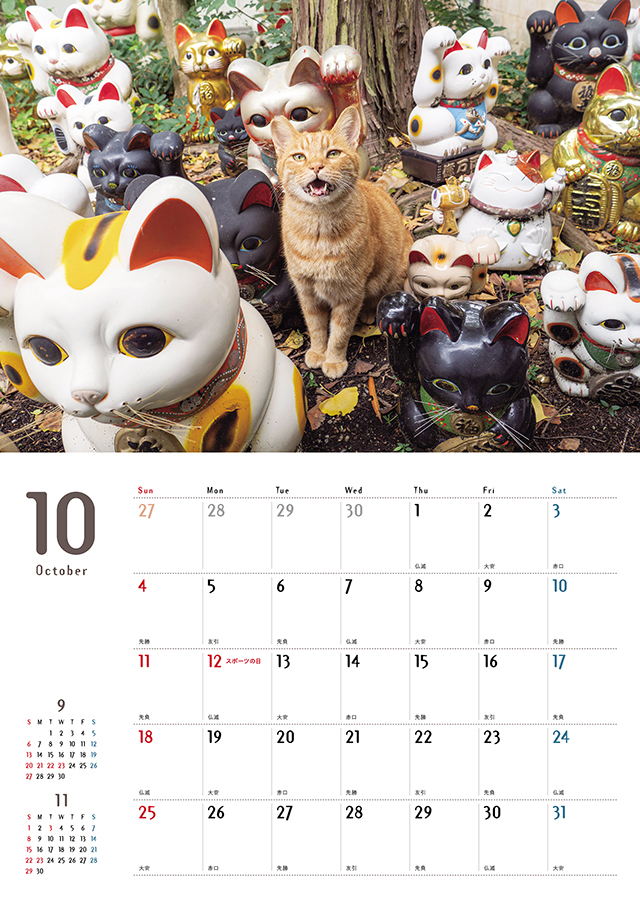 まちかどの猫カレンダー2026（壁掛け） 株式会社 緑書房