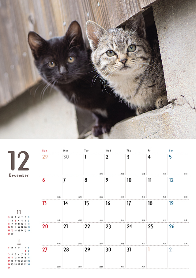 まちかどの猫カレンダー2026（壁掛け） 株式会社 緑書房