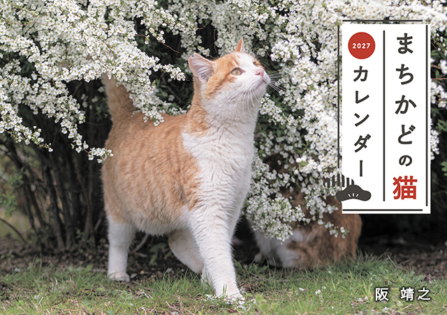まちかどの猫カレンダー2027（壁掛け）