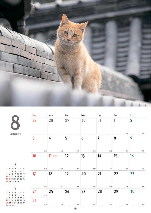 猫が邪魔で何も見えないカレンダー 猫が邪魔で何も見えないカレンダー