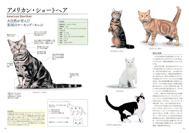 新しい猫の教科書 株式会社 緑書房