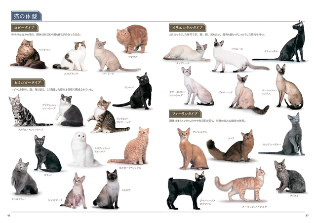 新しい猫の教科書 株式会社 緑書房