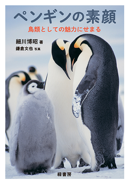 ペンギンの素顔