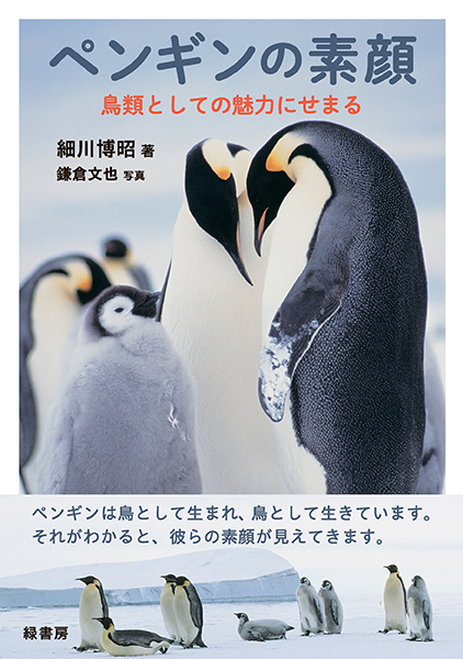 penginnosugao_sample1.jpg?t=