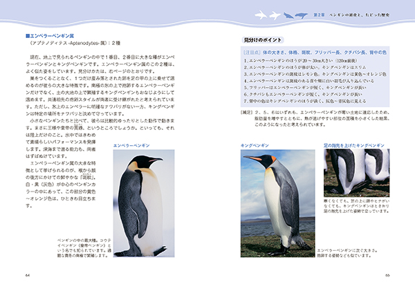ペンギンの素顔 株式会社 緑書房