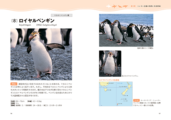 ペンギンの素顔 株式会社 緑書房