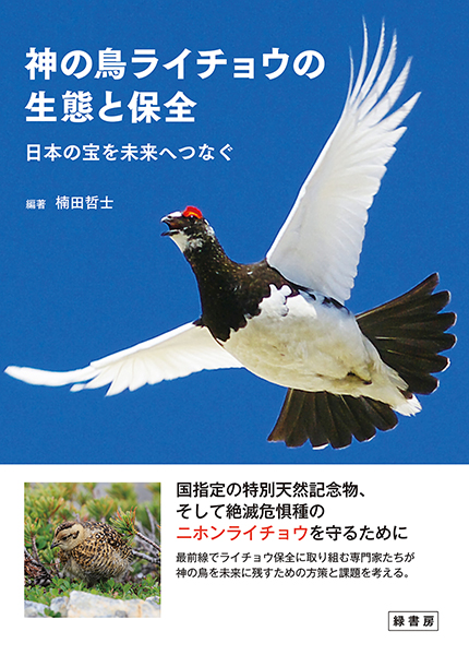 これからの鳥類学(山岸哲, 樋口広芳 共編) / 南陽堂書店 / 古本